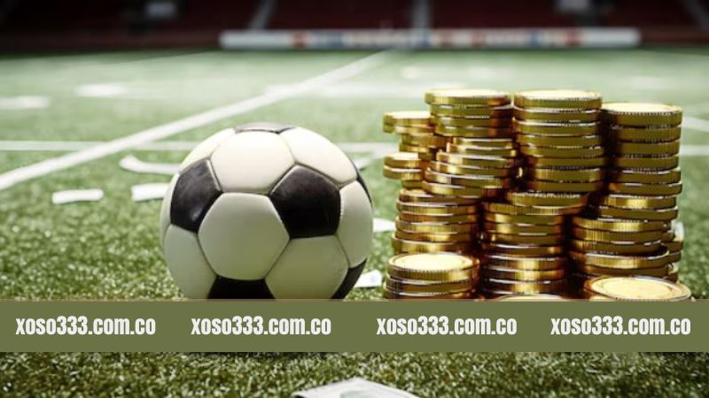 Chọn trận đấu ở giải lớn để tham gia bet kèo