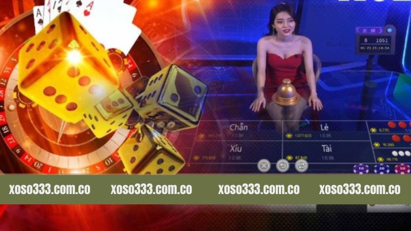 Tập hợp các thuật ngữ trong xóc đĩa trực tuyến