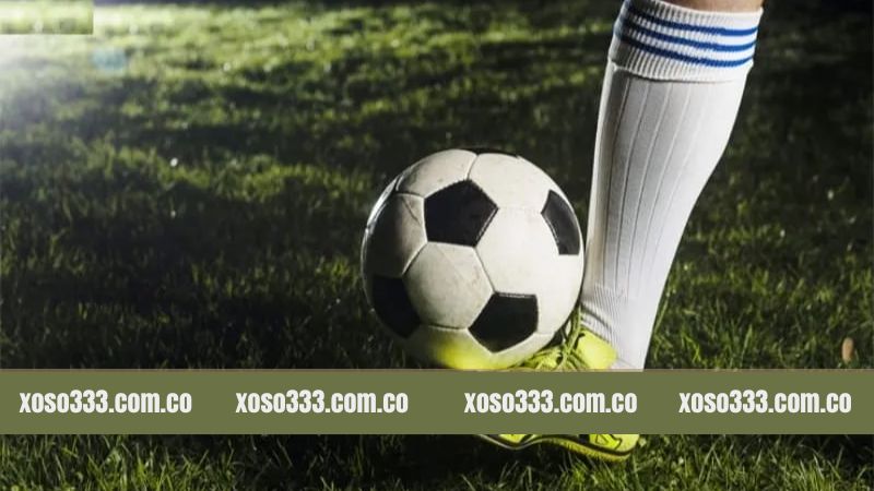 Khái niệm chuẩn về kèo cược đồng banh